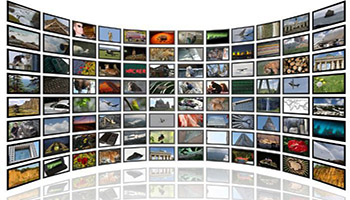 BBIN宝盈官方网站